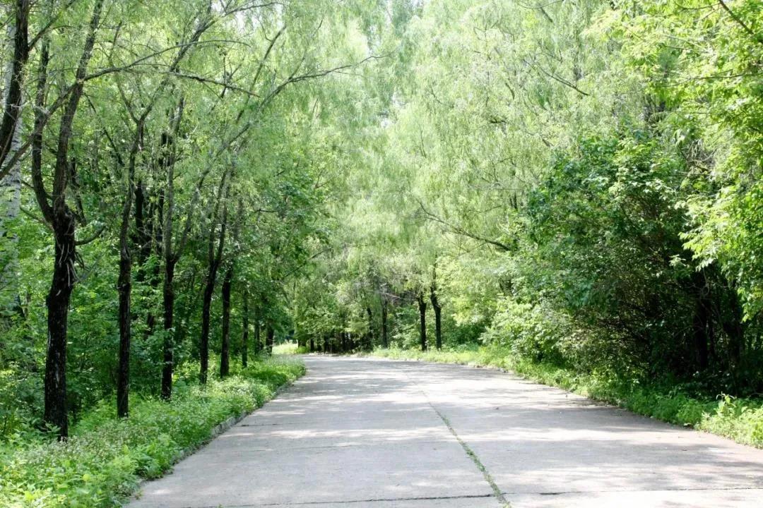 welcometo欢迎光临888集团(中国)有限公司